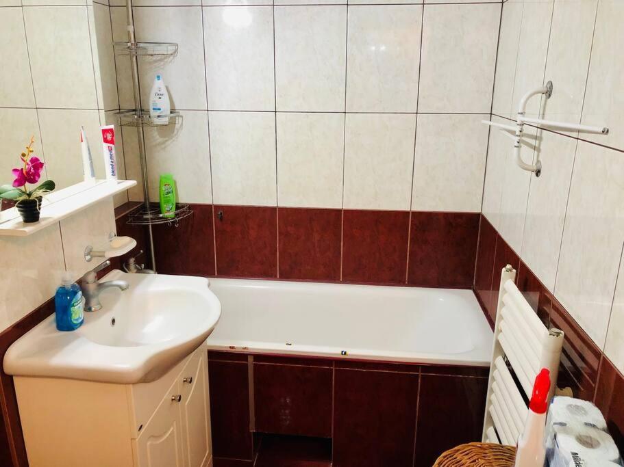 Very Big apartment in a Quiet area near Spitalul Judetean F7 Timişoara Exterior foto