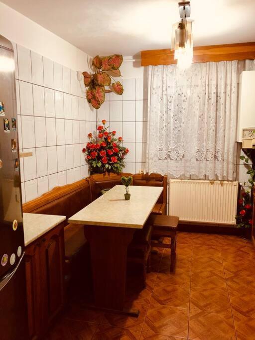 Very Big apartment in a Quiet area near Spitalul Judetean F7 Timişoara Exterior foto