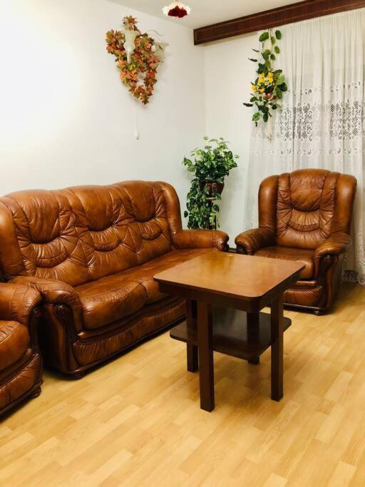 Very Big apartment in a Quiet area near Spitalul Judetean F7 Timişoara Exterior foto