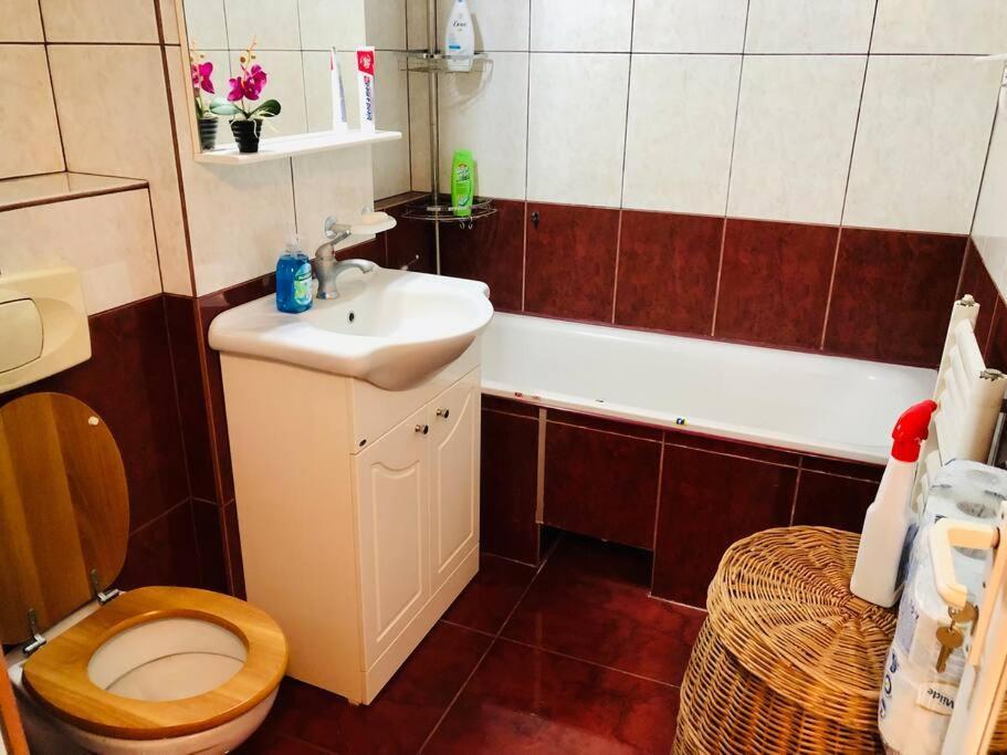 Very Big apartment in a Quiet area near Spitalul Judetean F7 Timişoara Exterior foto