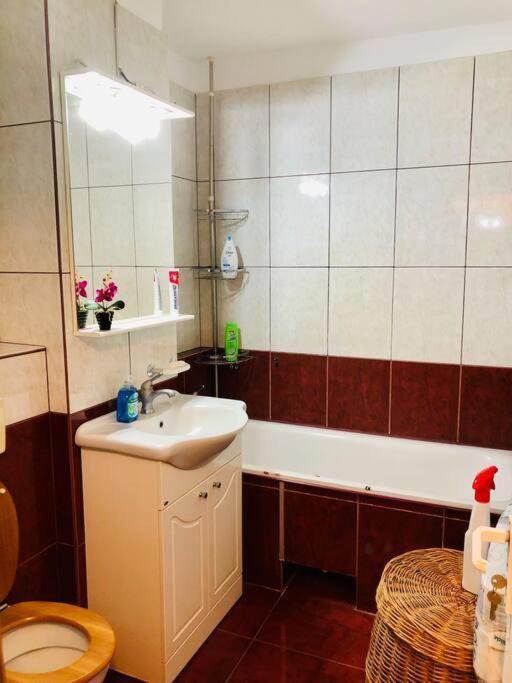 Very Big apartment in a Quiet area near Spitalul Judetean F7 Timişoara Exterior foto