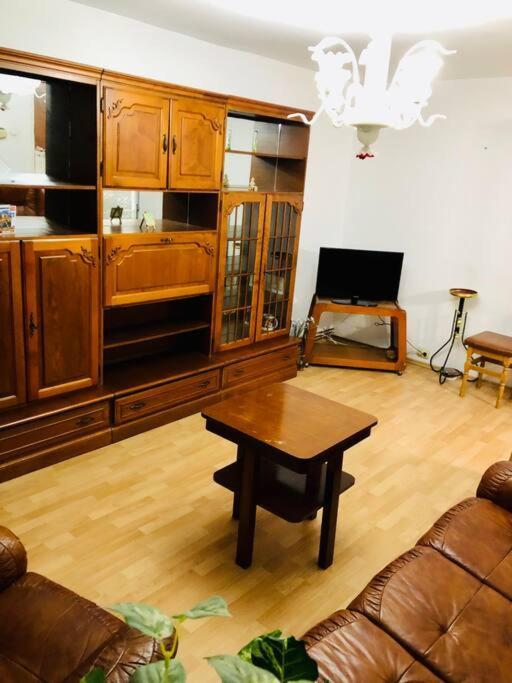 Very Big apartment in a Quiet area near Spitalul Judetean F7 Timişoara Exterior foto