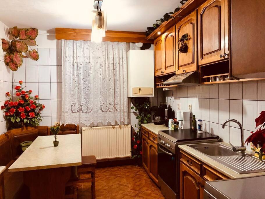 Very Big apartment in a Quiet area near Spitalul Judetean F7 Timişoara Exterior foto